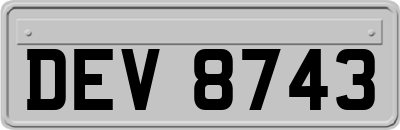 DEV8743