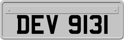 DEV9131