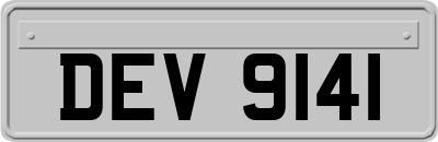 DEV9141