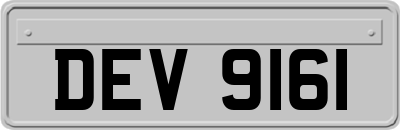 DEV9161