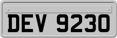 DEV9230