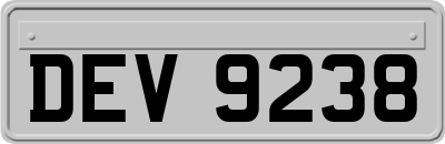 DEV9238