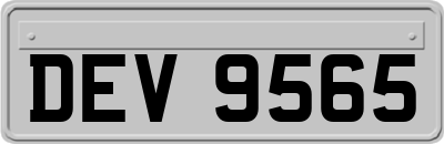 DEV9565