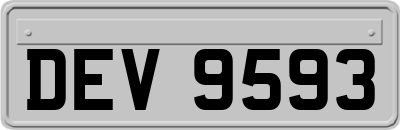 DEV9593