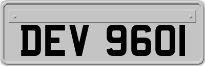 DEV9601