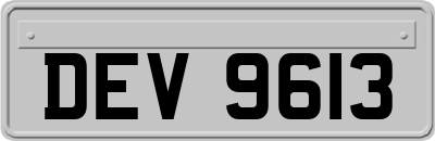 DEV9613