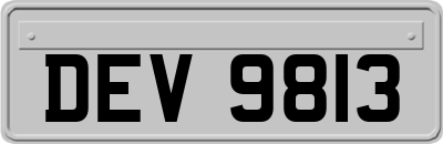 DEV9813