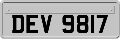 DEV9817