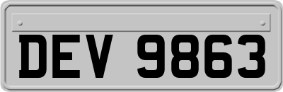 DEV9863