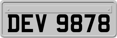 DEV9878