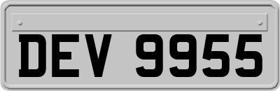 DEV9955