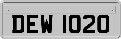 DEW1020