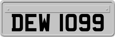 DEW1099