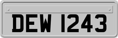 DEW1243