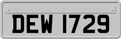 DEW1729