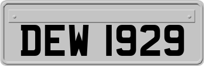 DEW1929