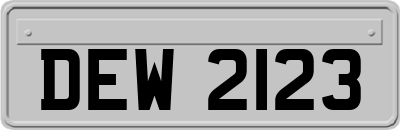 DEW2123