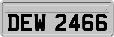 DEW2466