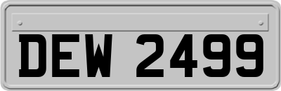 DEW2499