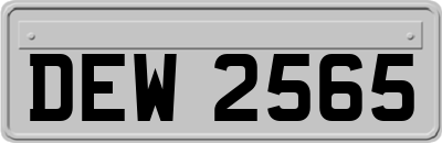 DEW2565