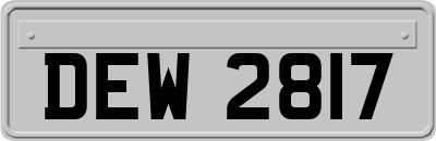 DEW2817