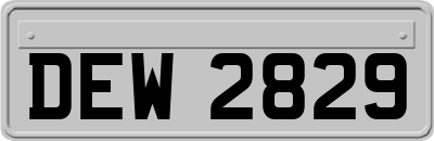 DEW2829