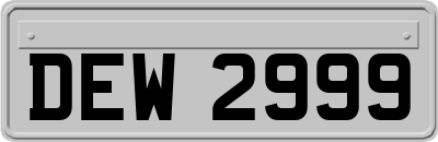 DEW2999