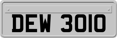 DEW3010