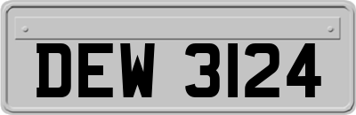 DEW3124