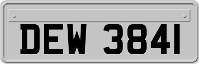 DEW3841