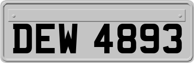DEW4893