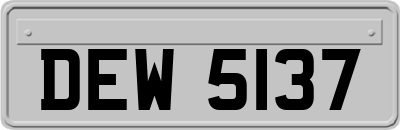 DEW5137