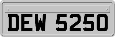 DEW5250