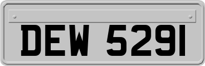 DEW5291