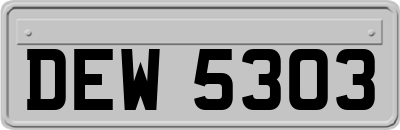 DEW5303