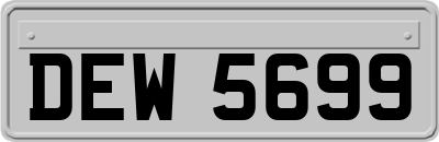 DEW5699