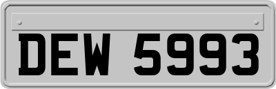 DEW5993