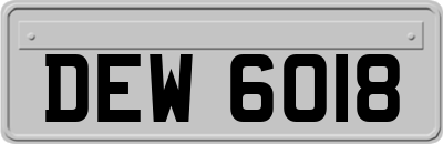 DEW6018