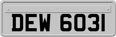 DEW6031