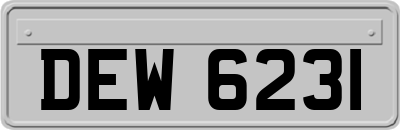 DEW6231