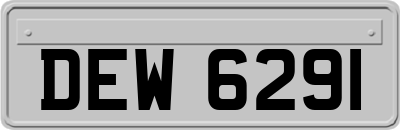 DEW6291