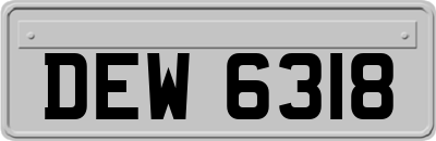 DEW6318