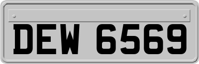 DEW6569