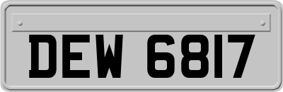 DEW6817