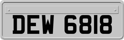 DEW6818