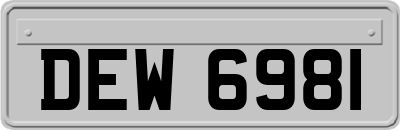 DEW6981