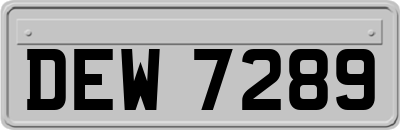 DEW7289