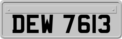 DEW7613