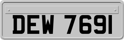 DEW7691