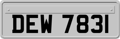 DEW7831